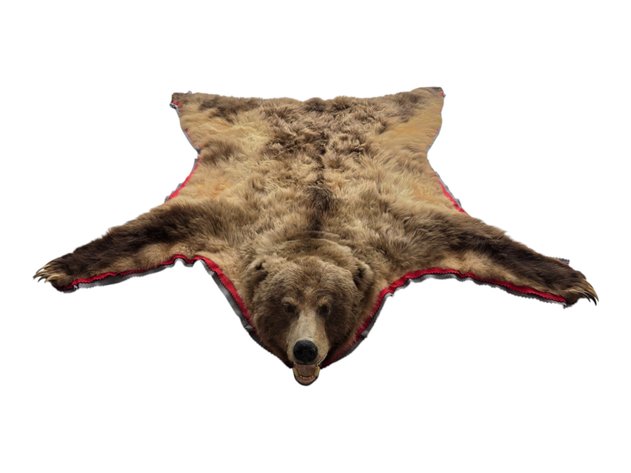 Image for American Bald Eagle Foundation Taxidermy Auction 2026