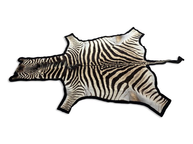 Image for October 2026 Curiosities Auction
