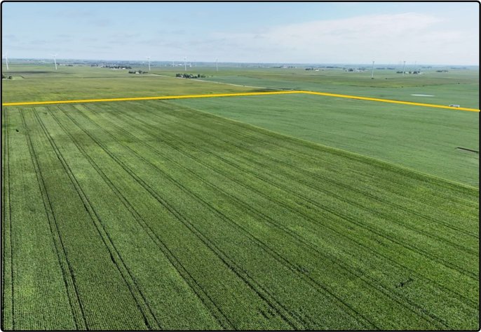 Image for Closed - Story Co., IA - 156.80 Ac., m/l - 000-3999