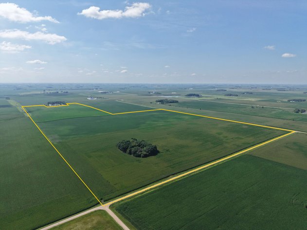 Image for Sibley Co., MN - 233.20 Ac., m/l (190-0341)