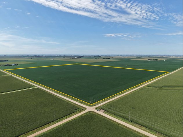 Image for Buena Vista Co., IA - 387.48 Ac., m/l (000-4228)