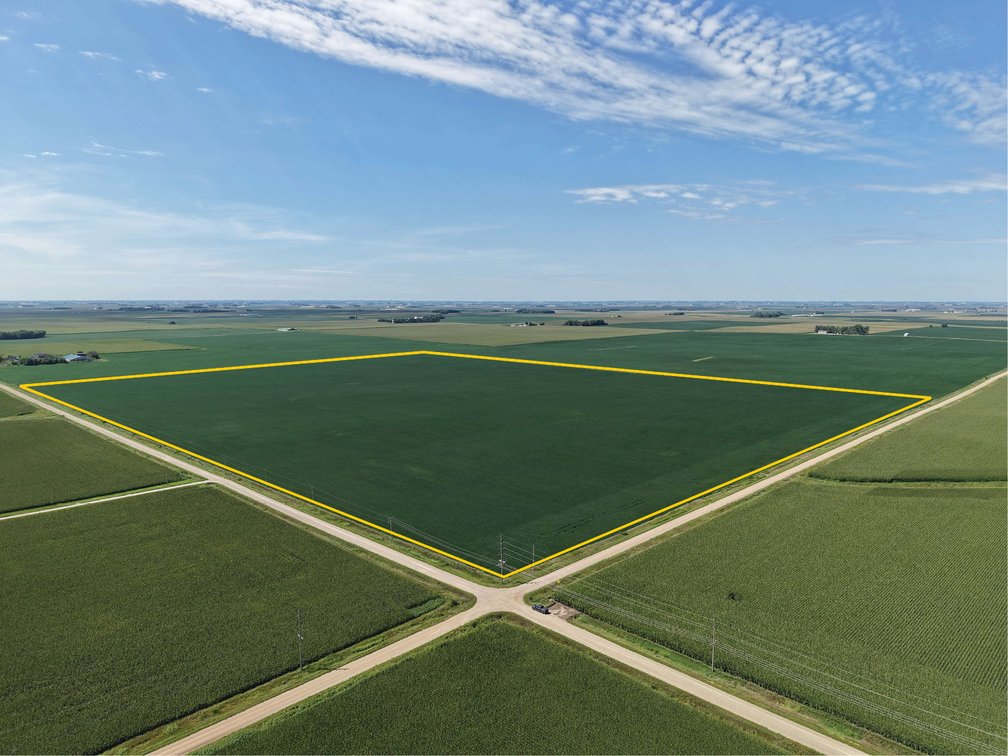 Image for Buena Vista Co., IA - 387.48 Ac., m/l (000-4228)