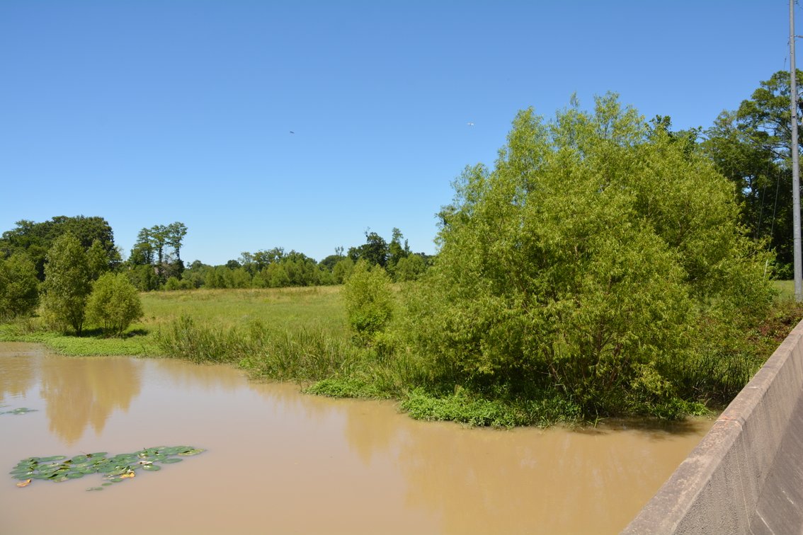 Image for ESTATE AUCTION, 12.15+/- ACRES, WATERFRONT DEVELOPMENT LAND