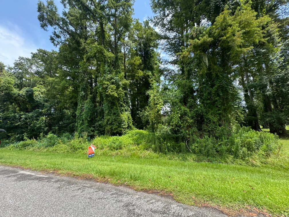 Image for ESTATE AUCTION, 12.15+/- ACRES, WATERFRONT DEVELOPMENT LAND