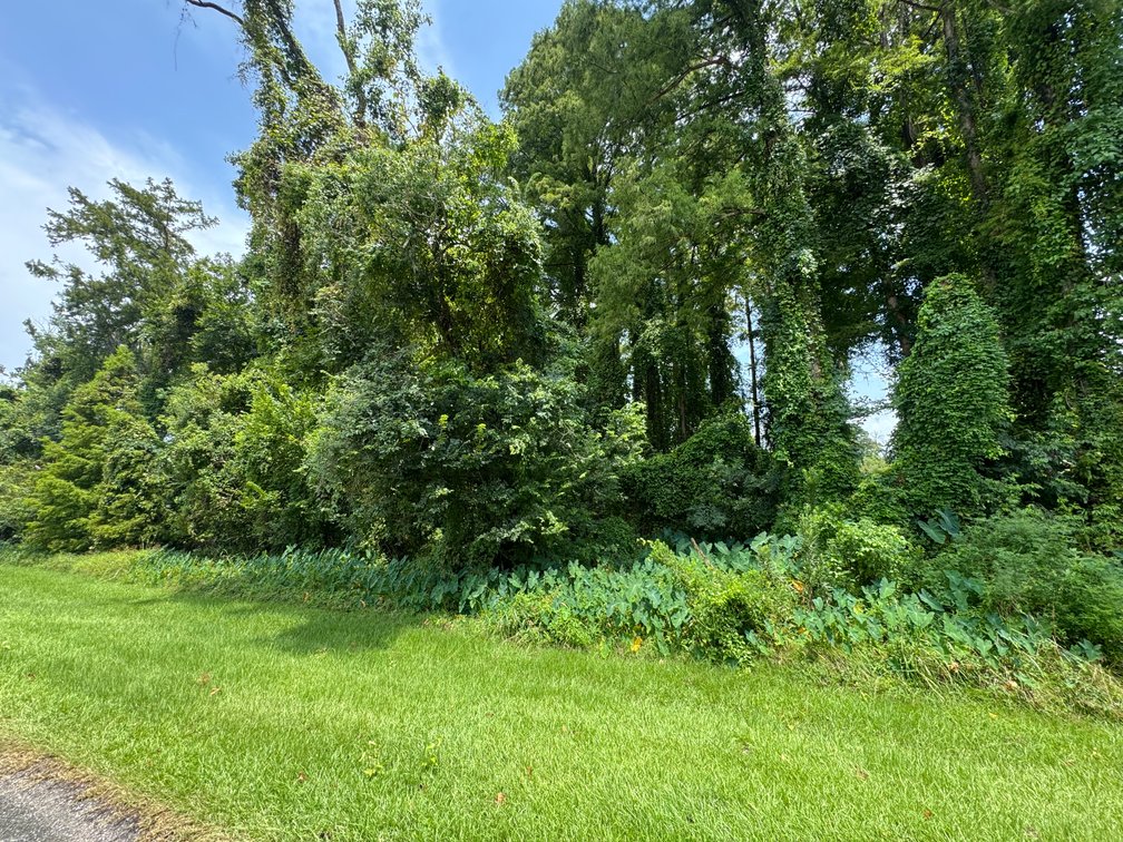 Image for ESTATE AUCTION, 12.15+/- ACRES, WATERFRONT DEVELOPMENT LAND