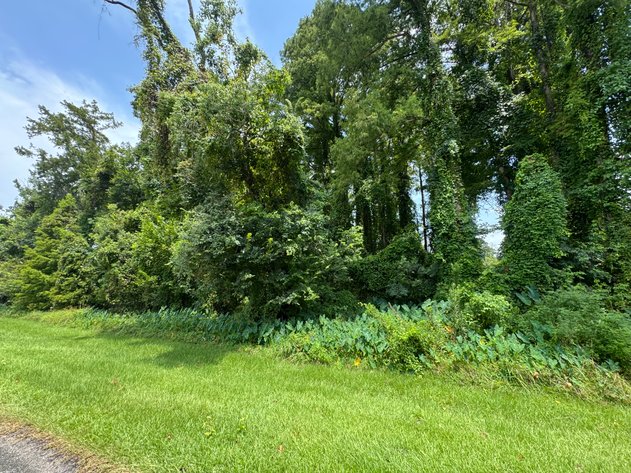 Image for ESTATE AUCTION, 12.15+/- ACRES, WATERFRONT DEVELOPMENT LAND