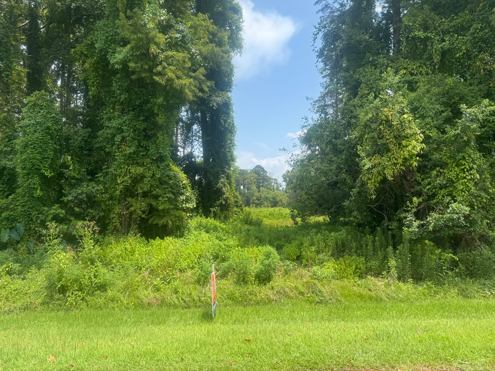 Image for ESTATE AUCTION, 12.15+/- ACRES, WATERFRONT DEVELOPMENT LAND