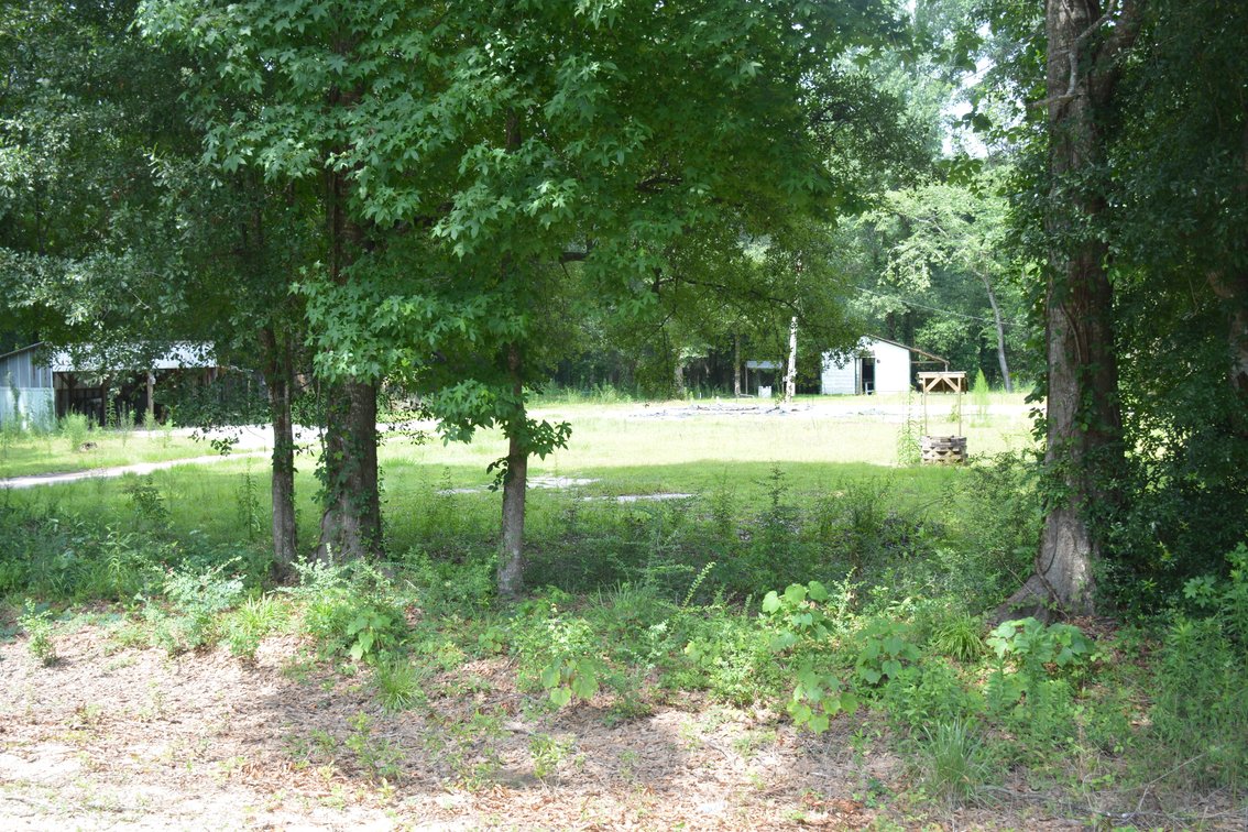Image for BANKRUPTCY AUCTION CASE NO. 25-10441,   .79+/- acre Pearl River, LA