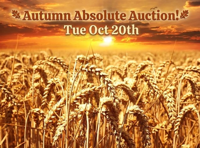 Image for Autumn Absolute Auction -Oct 20th RING 1