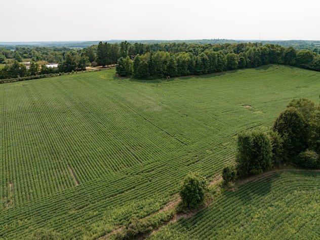 Image for 40± Acres with Tillable Ground, Pasture & Hunting Potential Near Hillsdale - Barron County, WI