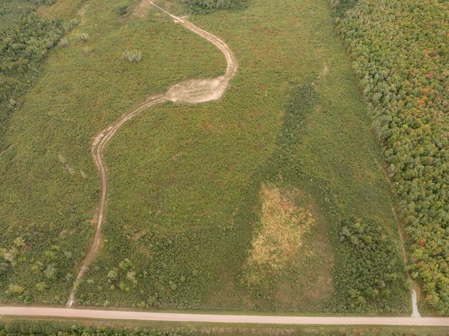 Image for 40± Acres of Hunting & Recreational Land in Two Parcels near Ladysmith – Rusk County, WI