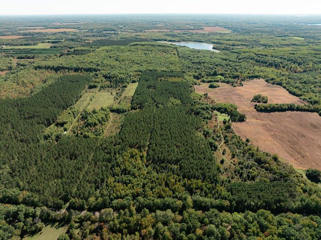 Image for 40± Acres of Wooded Hunting Land Offered in 2 Parcels Near Trego, WI - Washburn County