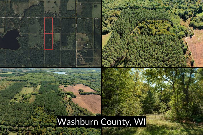 Image for 40± Acres of Wooded Hunting Land Offered in 2 Parcels Near Trego, WI - Washburn County