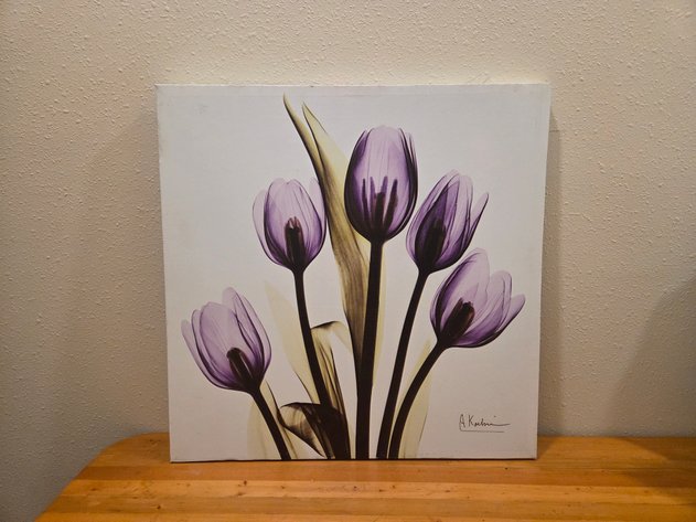 Image for Kaelyn Haegele's Let Hope Take Flight Dinner & Benefit Auction - Monticello, MN