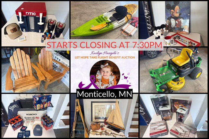 Image for Kaelyn Haegele's Let Hope Take Flight Dinner & Benefit Auction - Monticello, MN