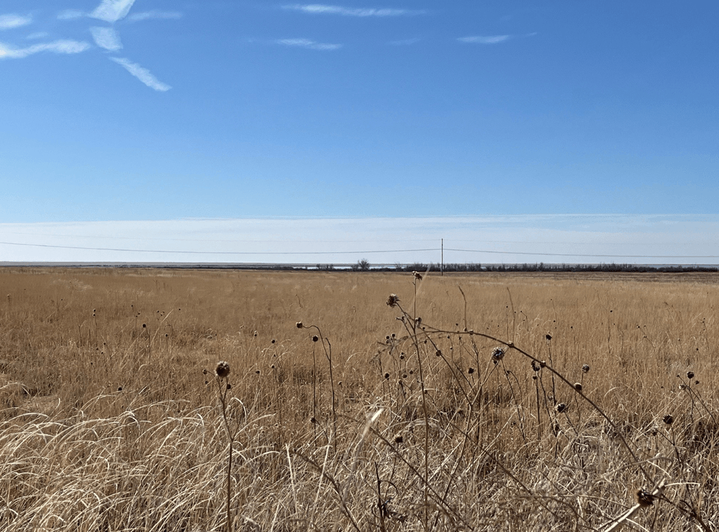 Image for KIOWA COUNTY, COLORADO - CRP (C4077)