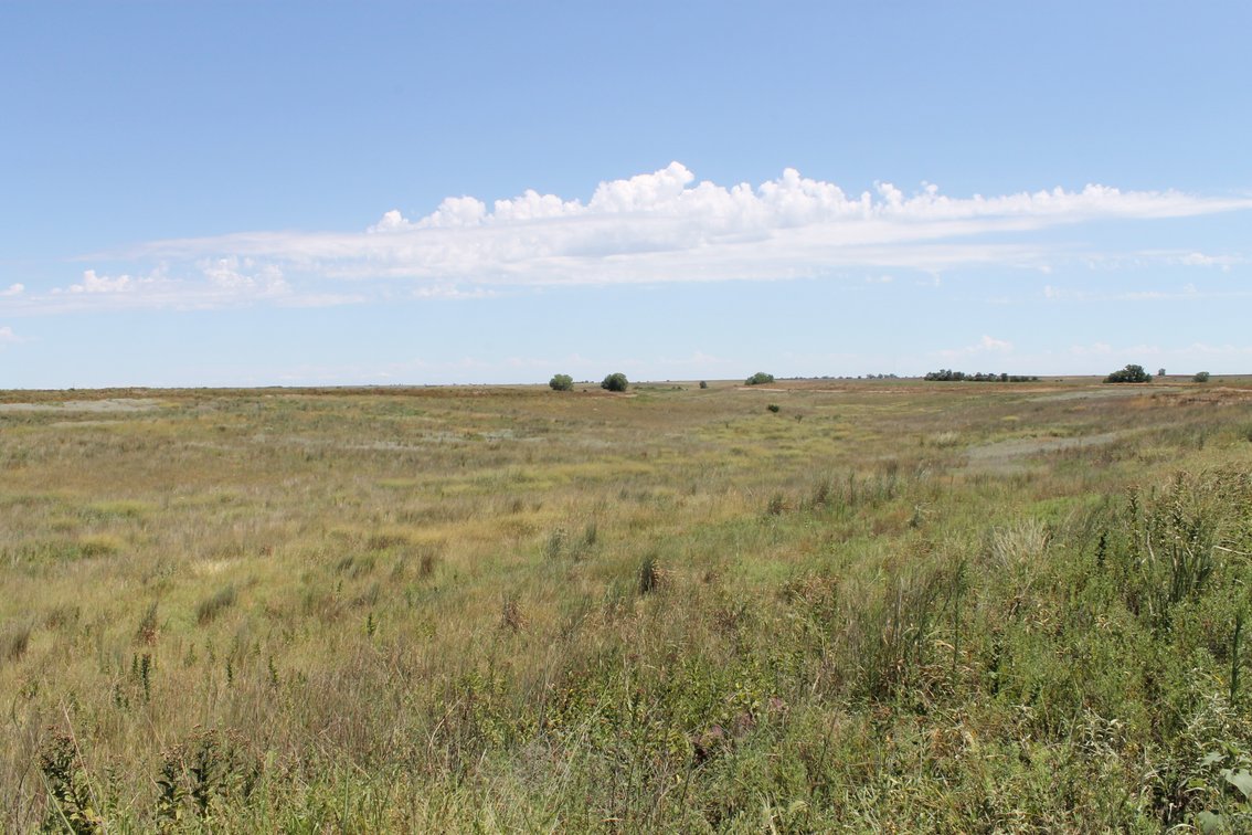 Image for KIOWA COUNTY & BARBER COUNTY, KANSAS-CROPLAND & GRASSLAND