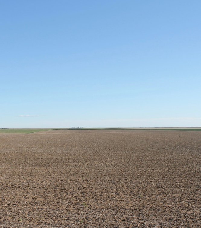 Image for LINCOLN COUNTY, CO - CROPLAND (C4081)
