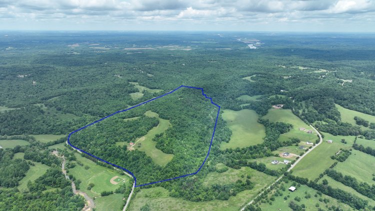 Image for 150+/- Acre Palmyra AUCTION