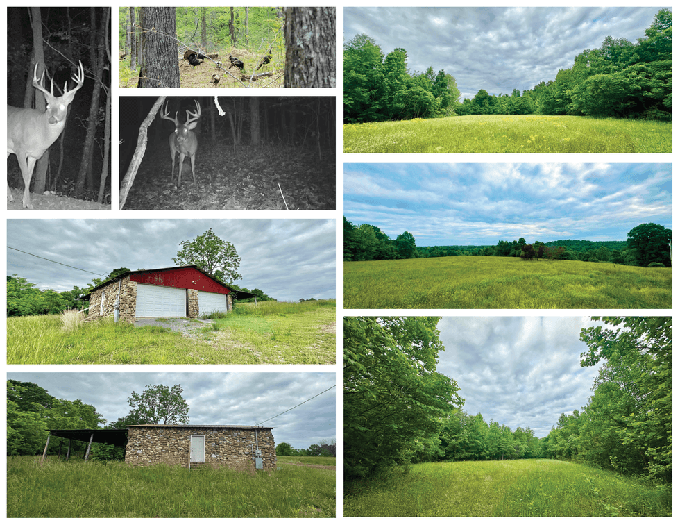Image for 150+/- Acre Palmyra AUCTION