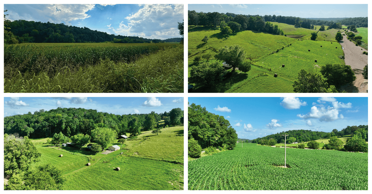 Image for 5645 Will Jackson Rd., Cadiz, KY 42211 Auction