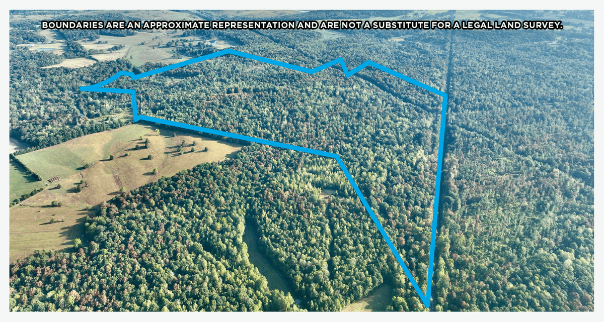 Image for Turnkey Luxury Game Preserve Auction