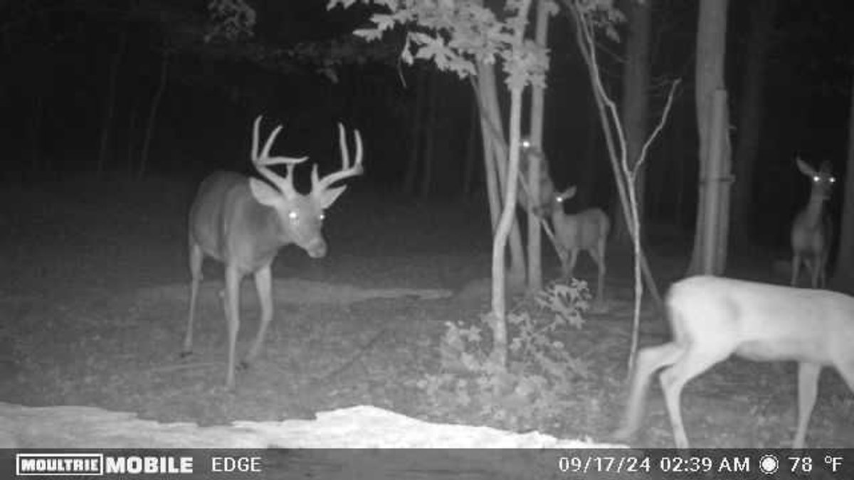 Image for Private Escape Near Lake Barkley Auction