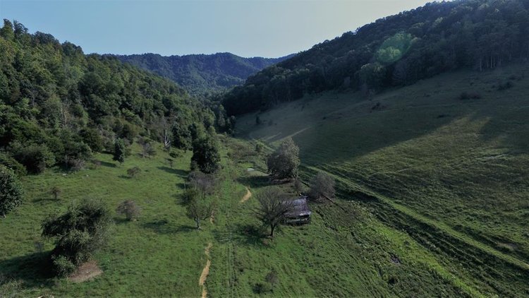 Image for 322 Acres (+/-) ONLINE ONLY REAL ESTATE AUCTION SALTVILLE, VA