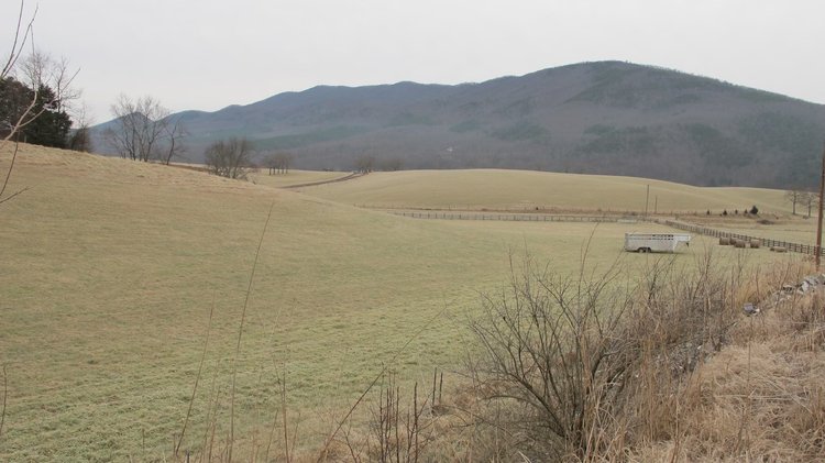 Image for ***POSTPONED*** - ABSOLUTE TRUSTEE AUCTION - 85.65 ACRES WITH BARN - BUCHANAN, VA