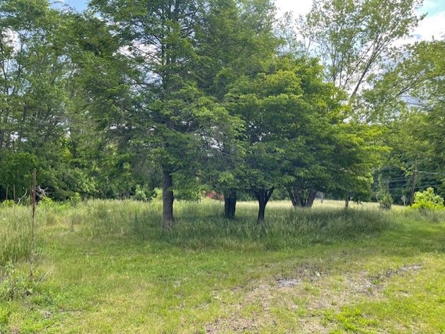 Image for ONLINE ONLY VALUABLE COMMERCIAL LAND EXIT 47 I-81 3.06 Acres (+/-) Marion, VA