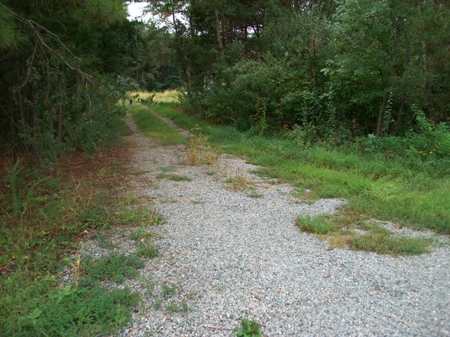 Image for ABSOLUTE TRUSTEE AUCTION - AN APPROXIMATELY 1,920' SHOP/OFFICE METAL BUILDING ON 34.755 ACRES - GRETNA
