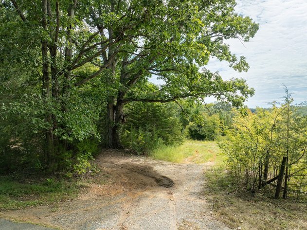 Image for 69.51 ACRES OFFERED IN 2 TRACTS AND IN THE ENTIRETY- APPOMATTOX COUNTY