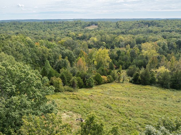 Image for 69.51 ACRES OFFERED IN 2 TRACTS AND IN THE ENTIRETY- APPOMATTOX COUNTY