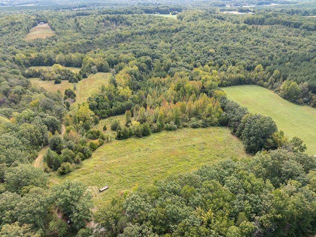Image for 69.51 ACRES OFFERED IN 2 TRACTS AND IN THE ENTIRETY- APPOMATTOX COUNTY