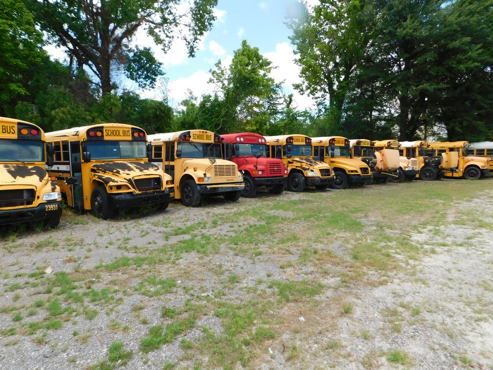 Image for Multiple Motor Coaches and School Buses