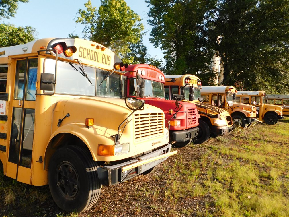 Image for Multiple Motor Coaches and School Buses