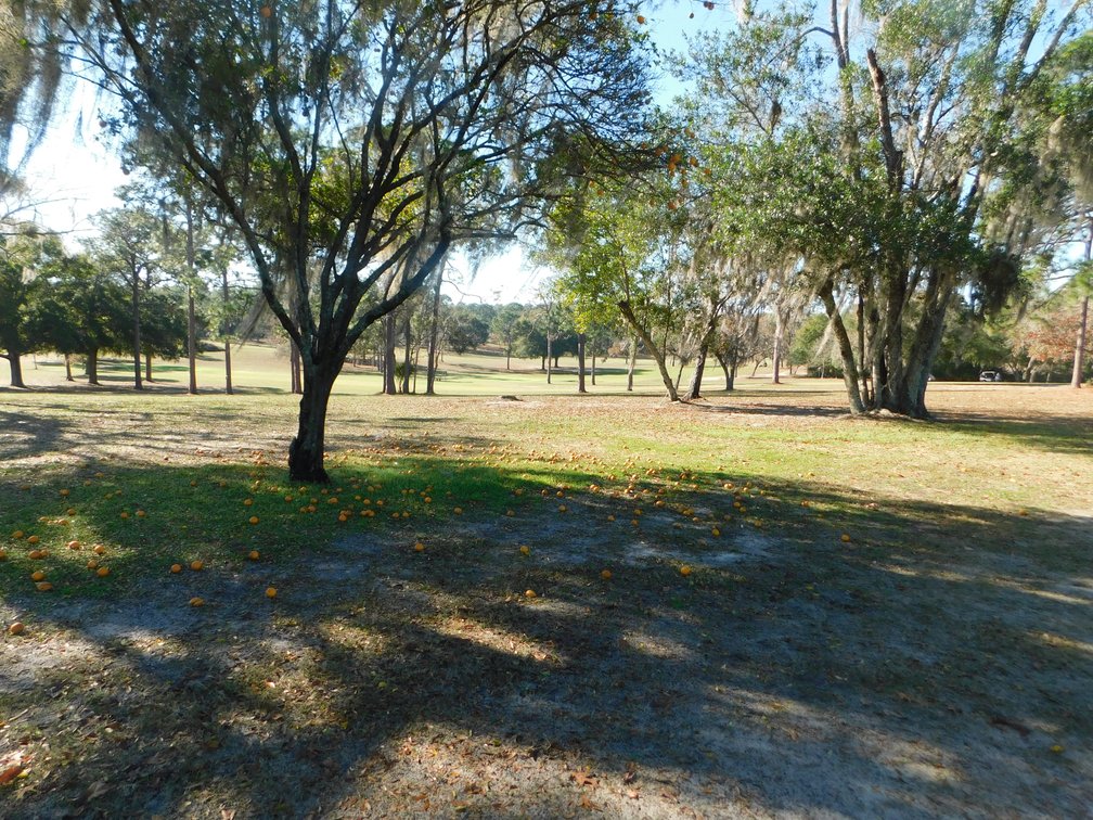 Image for Nine Hole Golf Course on 72+/- Acres in Marion County, FL