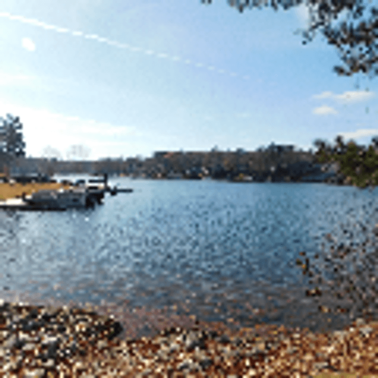 Image for Lakeview Townhomes in Fairfield Plantation