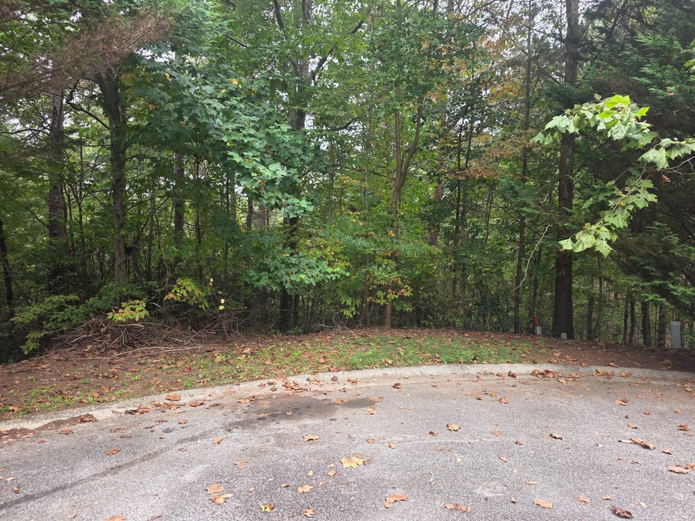 Image for 2 +/- Acre Lot in Innsbruck Golf Resort