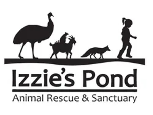 Image for Diecast Automobile Auction for Izzie's Pond Animal Rescue & Sanctuary #1