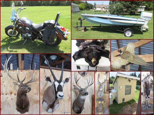 Pat McLaughlin Estate - Mounts & Household
