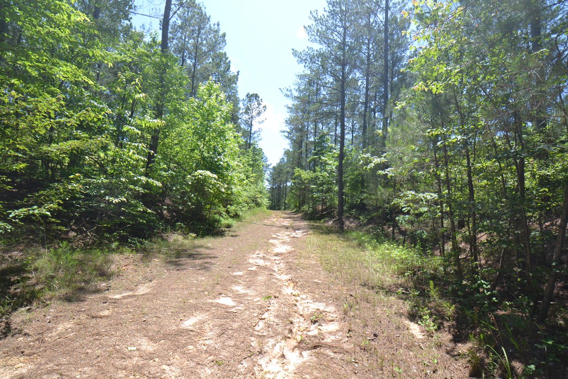 Image for 75+/- Acres in Woodland, Alabama - Offered in 7 Individual Tracts