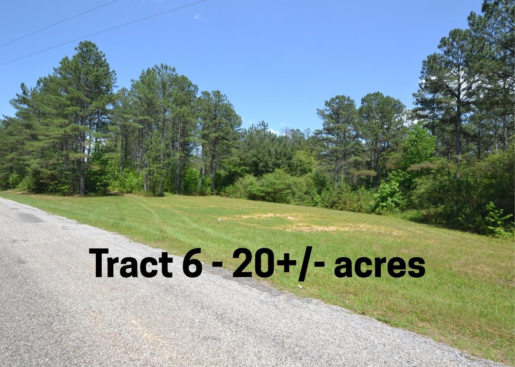 Image for 75+/- Acres in Woodland, Alabama - Offered in 7 Individual Tracts