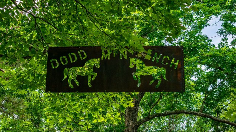 NO RESERVE 120 ACRE DODD MOUNTAIN FARM AUCTION | SHIRLEY, AR