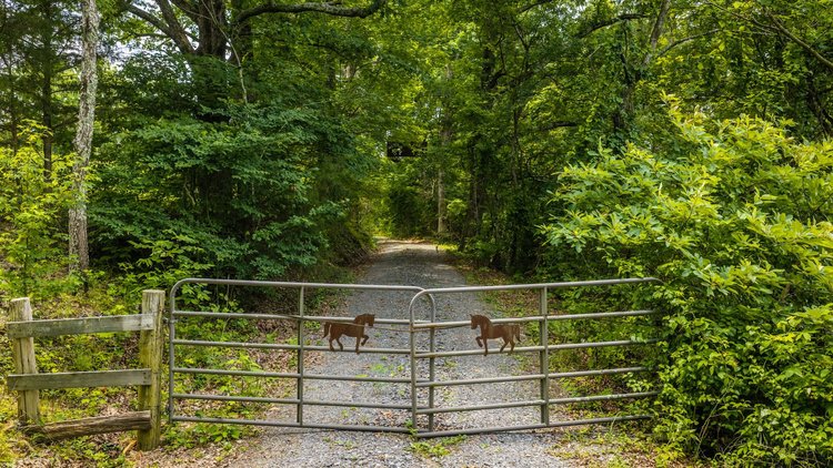 NO RESERVE 120 ACRE DODD MOUNTAIN FARM AUCTION | SHIRLEY, AR