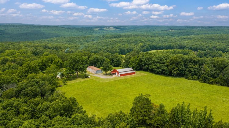 NO RESERVE 120 ACRE DODD MOUNTAIN FARM AUCTION | SHIRLEY, AR