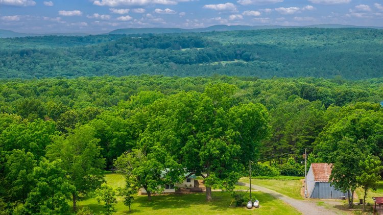NO RESERVE 120 ACRE DODD MOUNTAIN FARM AUCTION | SHIRLEY, AR