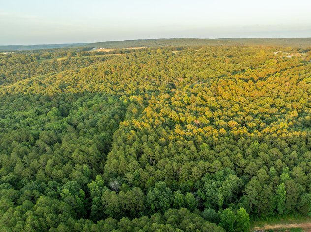 NO RESERVE LAND AUCTION | SHIRLEY, AR