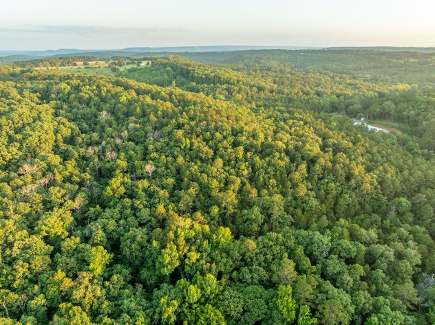 NO RESERVE LAND AUCTION | SHIRLEY, AR