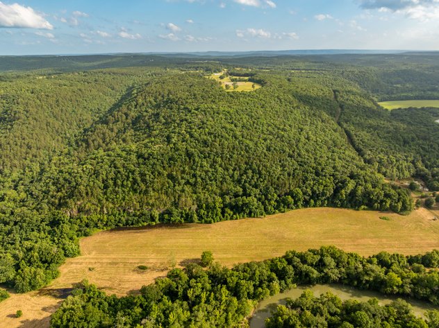 1,350± ACRE BUFFALO HUMP RANCH  AUCTION – SHIRLEY, AR